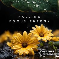 Weather Garden - Falling Focus Energy