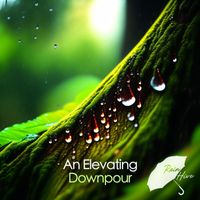 Rain Hive - An Elevating Downpour