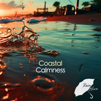 Rain Hive - Coastal Calmness