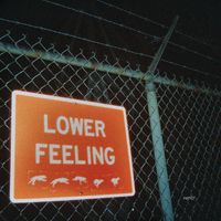 Rarity - Lower Feeling (Explicit)