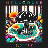 Mellodose - Best Trip