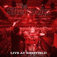 The Sherlocks - Live at Sheffield