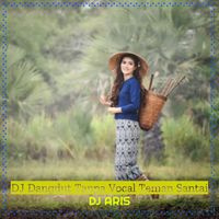 Dj Aris - DJ Dangdut Tanpa Vocal Teman Santai