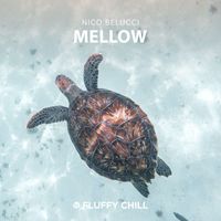 Nico Belucci - Mellow