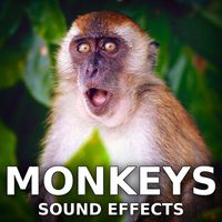 Sound Ideas - Monkeys Sound Effects