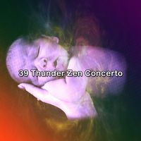 Rain Sounds Sleep - 39 Thunder Zen Concerto