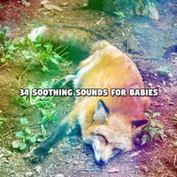 Baby Sleep Through the Night - 34 Soothing Sounds For Babies