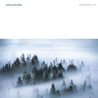 David Grumel - Impromptu N°1