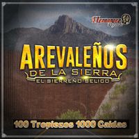 Arevaleños De La Sierra (De Tony Arevalo) - 100 Tropiezos 1000 Caídas