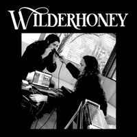 The Wild Honey Collective - Wilderhoney
