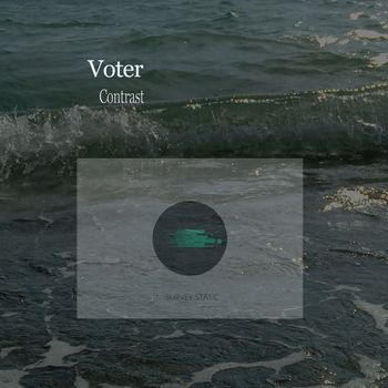 Voter - Contrast