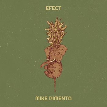 Mike Pimenta - Efect