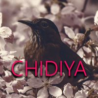 Stella - Chidiya