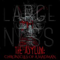 Large Ness - The Asylum: Chronicles of a Madman (Explicit)