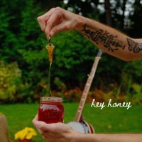 The Way Down Wanderers - Hey Honey