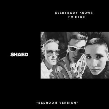 SHAED - Everybody Knows I'm High (bedroom version)