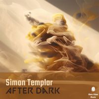 Simon Templar - After Dark