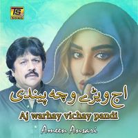 Ameen Ansari - Aj Warhay Wichay Pandi