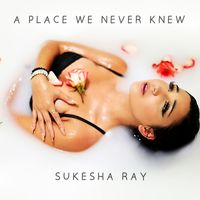 Sukesha Ray - A Place We Never Knew
