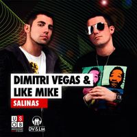 Dimitri Vegas & Like Mike - Salinas