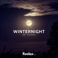 Dr. Sounds - Winternight
