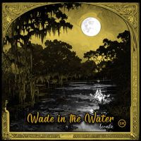 Steve Knight - Wade in the Water Acoustic