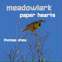 Thomas Shea - Meadowlark Paper Hearts