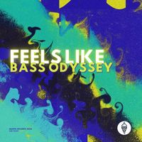 Bass Odyssey - Feels Like