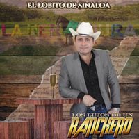 El Lobito de Sinaloa - Los Lujos De Un Ranchero