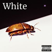 Dark Matter - White
