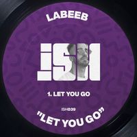 Labeeb - Let You Go