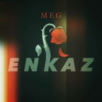 Meg - Enkaz