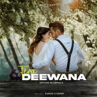 Divyam Agarwal - Tera Deewana