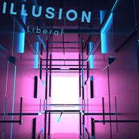 Liberal - illusion