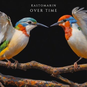 Kastomarin - Over Time