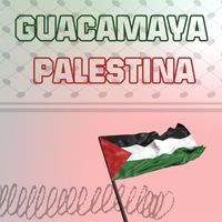 Cesar Castro - Guacamaya Palestina