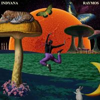 indyana - BE (RAYMOS REMIX)