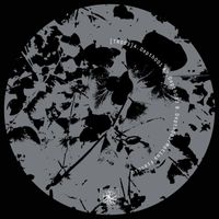 Matias Freccia - TR003