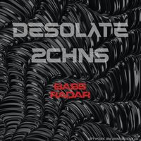 2CHNS - DESOLATE