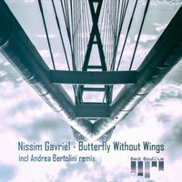 Nissim Gavriel - Butterfly Without Wings