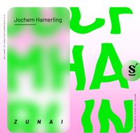 Jochem Hamerling - Zunai