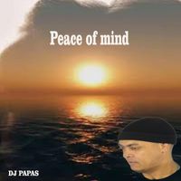 DJ - PEACE OF MIND
