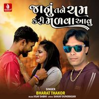 Bharat Thakor - Janu Tane Cham Kari Malva Aavu - Single