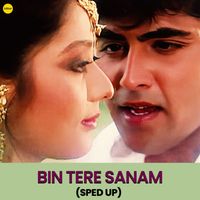 Udit Narayan, Kavita Krishnamurthy - Bin Tere Sanam (Sped Up)