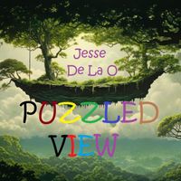 Jesse De La O - Puzzled View
