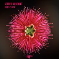 Valerio Vaudano - Ramen / Lhasa