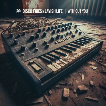 Disco Fries - Without You