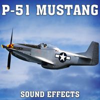 Sound Ideas - P-51 Mustang Sound Effects