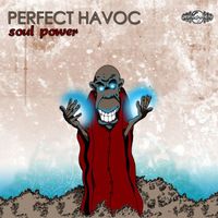 Perfect Havoc - Soul Power