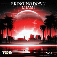 Various Artists - Bringing Down Miami, Vol. 1